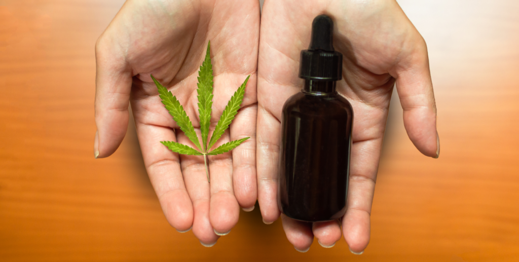 Canabidiol: Como garantir o tratamento